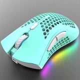 luminous RGB electric charging mouse