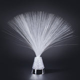 Fiber Optic Lamp Cross-border E-commerce Luminous Fiber